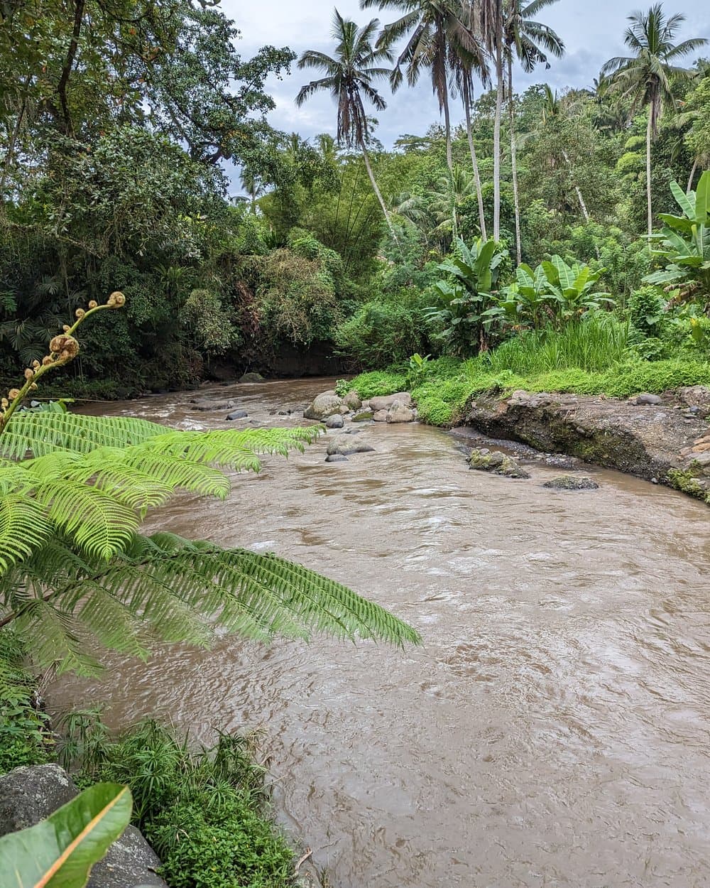 The Ayung River — fun family rafting, not pristine wilderness.