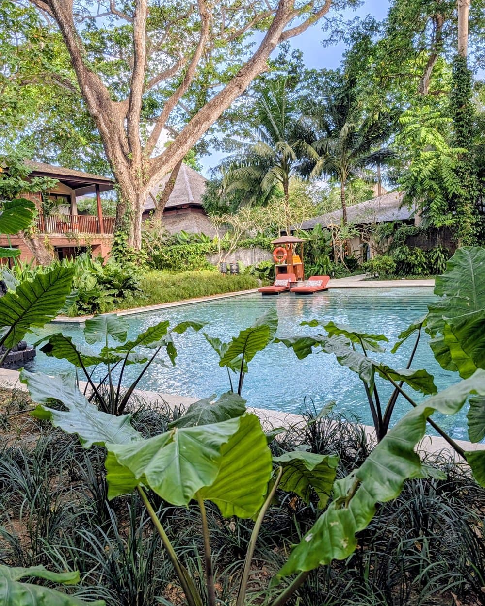 One of Andaz’s pools, framed by mature garden greenery.