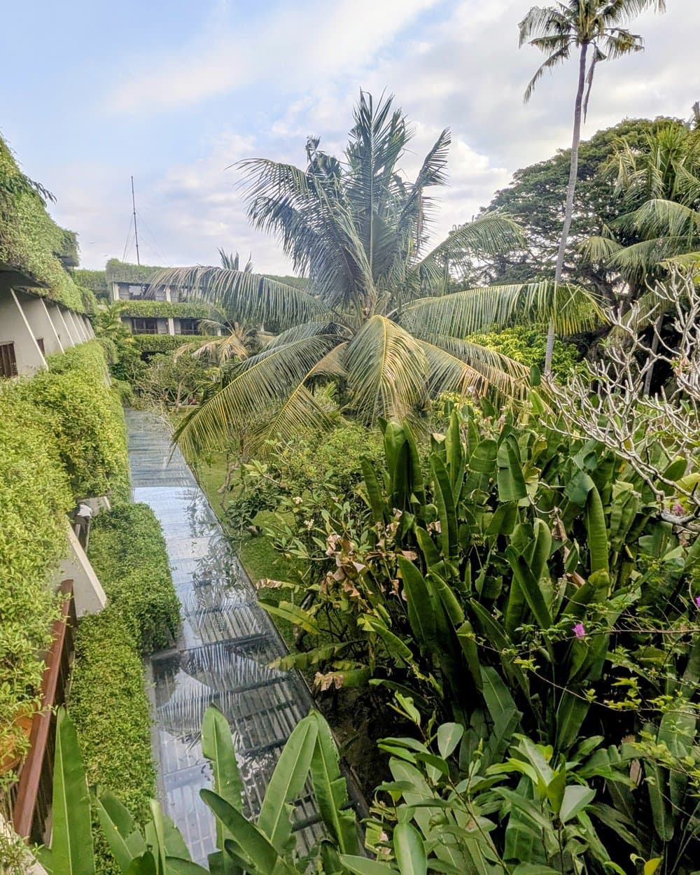 The Regency’s buildings, wrapped in decades of mature tropical greenery.
