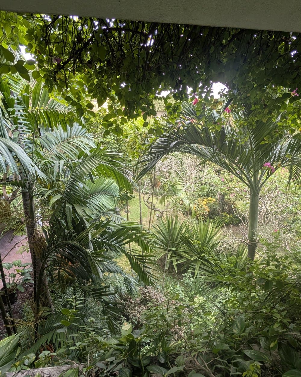 The Regency’s gardens — decades in the making.