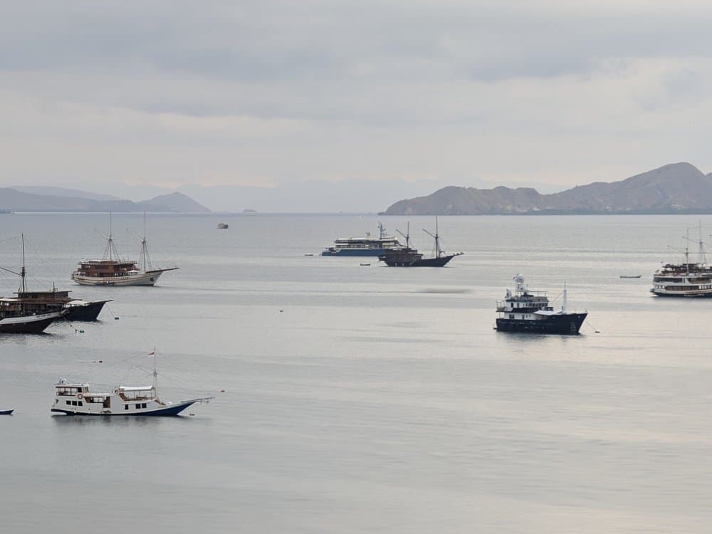A Phinisi liveaboard at anchor in Labuan Bajo harbor.